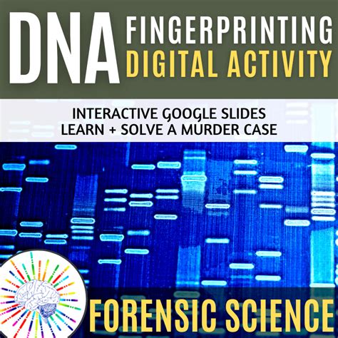 Dna Fingerprinting Activity Learn And Model W Interactive Slides No Prep