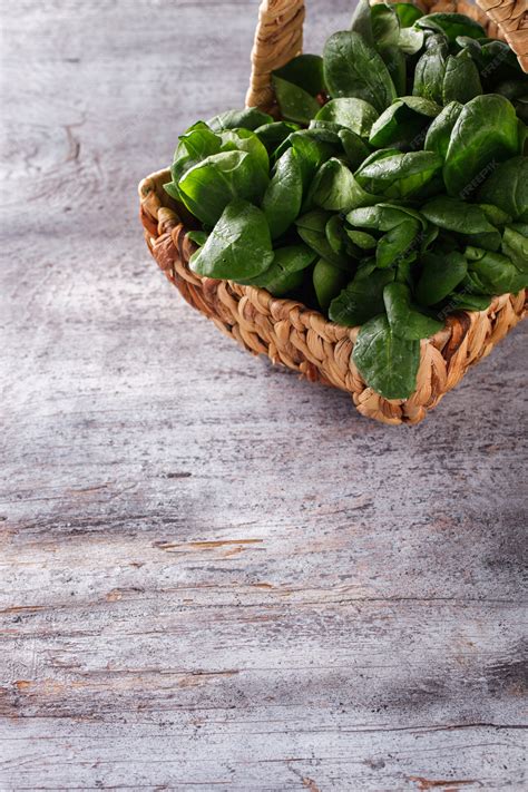 Premium Photo | Green spinach. healthy food diet concept. summer vitamins.