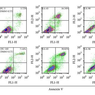 Effect Of UA And EA On Apoptosis PC 3 And DU 145 Cells Were Cultured