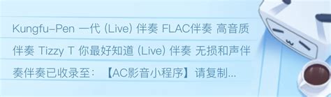 Kungfu Pen 一代 Live 伴奏 Flac伴奏 高音质伴奏 Tizzy T 你最好知道 Live 伴奏 哔哩哔哩