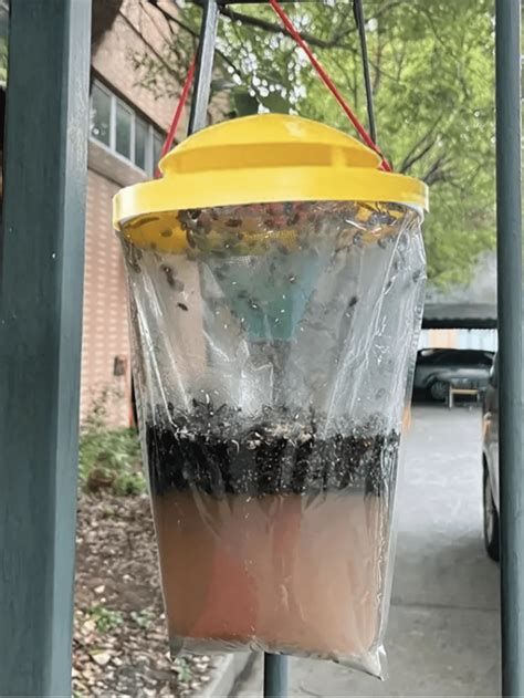 fly trap bags