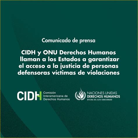 Cidh Y Onu Derechos Humanos Llaman A Los Estados A Garantizar El Acceso