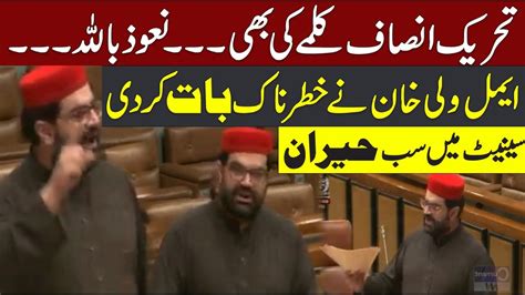 Senator Aimal Wali Khan Aggressive Speech In Senate Session