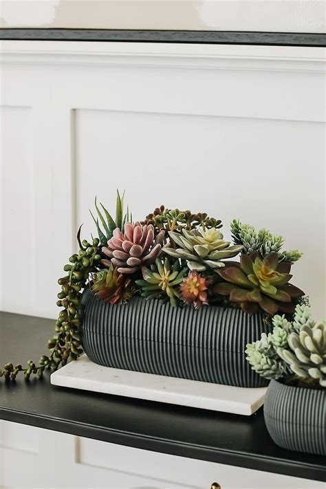 Miltonson Artificial Succulent Plants Review Succulents Symphony