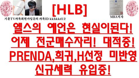 주식투자 Hlb엘스의 예언은 현실이된다어제 전군매수자리 대적중prenda희귀h선정 미반영신규세력 유입중