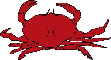 Crab Clipart Snow Crab Crab Snow Crab Transparent Free For Download On