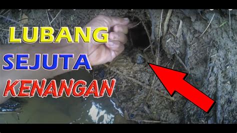 Mancing Belut Di Sungai Di Lubang Besar Hasilnya Bikin Terkejut Youtube