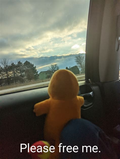 Window Charmander Meme Generator