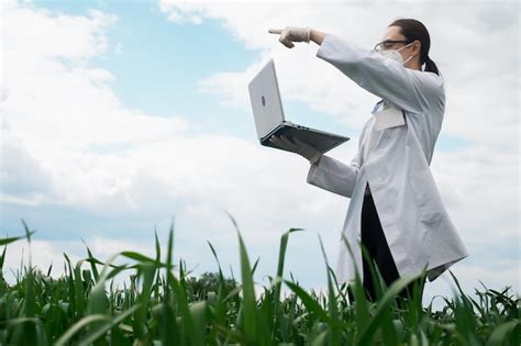 Premium Photo Agronomist Using Tablet And Technology In Agricultural