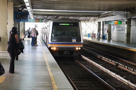 Transporte de animais de estimação no metrô tem regras especiais DF POST