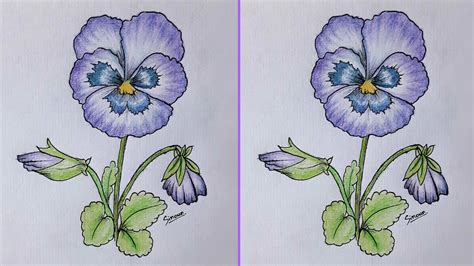 How To Draw Pansy Flower Sinoun Drawing Youtube