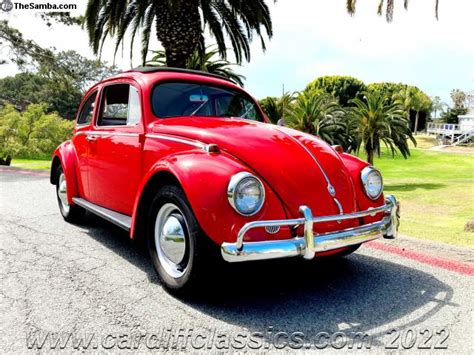 Thesamba Vw Classifieds Volkswagen Beetle Oval Window Ragtop