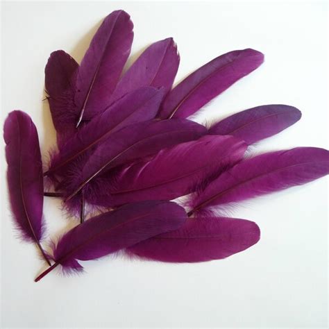 Purple Feathers - Etsy