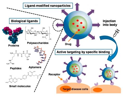 Nanogel A Versatile Nano Delivery System For Biomedical Applications