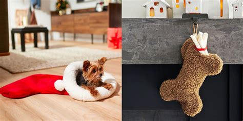 21 Best Dog Christmas Stockings in 2022