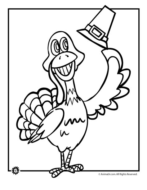 Pilgrim Turkey Coloring Page - Animal Jr.