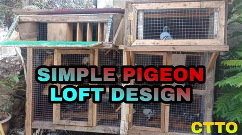 Simple Pigeon Loft Design Youtube