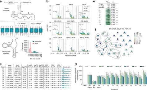 High Throughput Identification Of Synthetic Riboswitches By Barcode