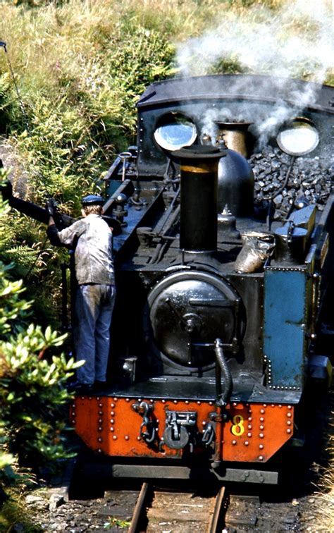 Vale of Rheidol Railway - Photo "Rheidol Railway" :: Railtracks UK