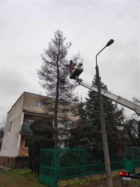 Przycinanie wycinka drzew krzewów mycie kostki wertykulacja Radom