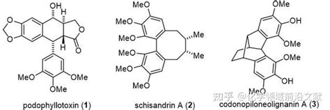 西北农林科技大学郝宏东课题组organic Letters：codonopiloneolignanin A的全合成 知乎