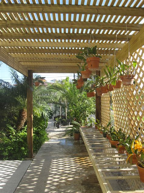 Designing A Shade House For Orchids - Modern House Design