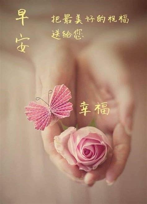 Pin By Gina On Chinese Quotes In Good Morning Greetings Night