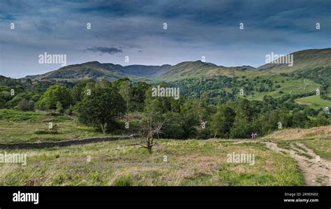 Lake District Landscape Around Ambleside Windemere And Grasmere Stock