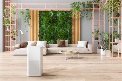 Do Air Purifiers Kill Plants Iupilon