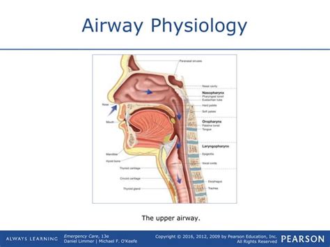 Airway Management Ppt