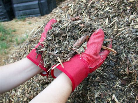 What is Mulch? - Tilth Alliance