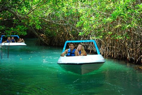 Cancun Jungle Adventure With Speedboat And Snorkeling 2024