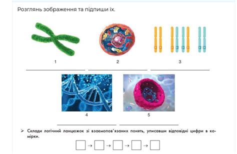 SOLVED: ???????? ?????????? ?? ??????? ??. 1 2 3 4 5