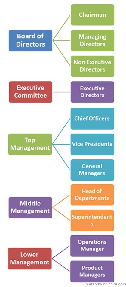 Business Organization Hierarchy Business Hierarchy Structure