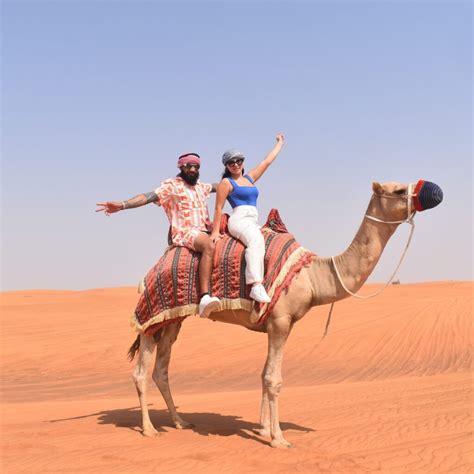 Evening Desert Safari With Camel Ride BBQ Dinner 2