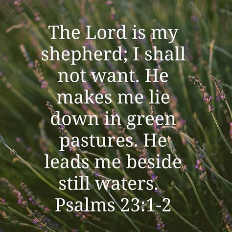 The Lord Is My Shepherd I Shall Not Want He Makes Me Lie Down In