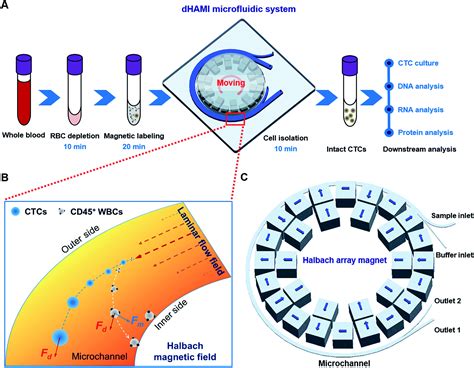 Dynamic Halbach Array Magnet Integrated Microfluidic System For The