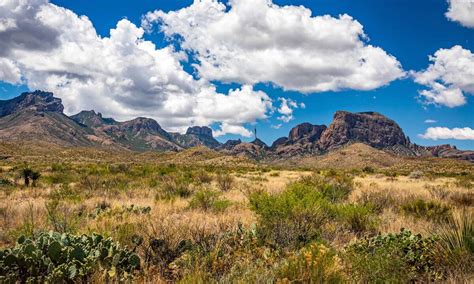 Exploring The Great Outdoors In Texas A Guide To Adventure