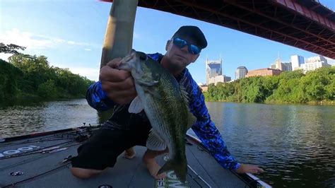 We Stumbled On Schooling Bass Feeding Frenzy By Accident And Camped The