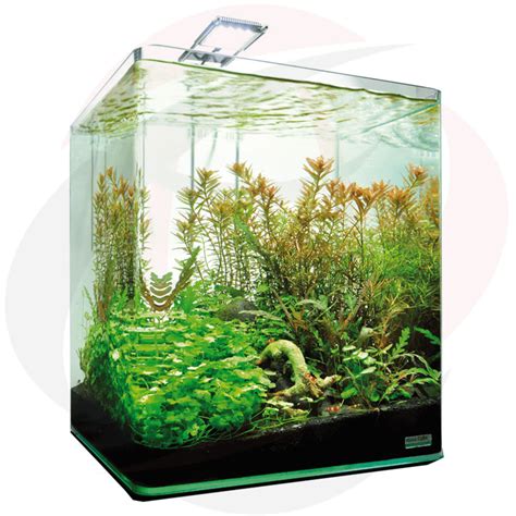 Dennerle Nano Cube Complete LED 30 Liter Nano Aquarium