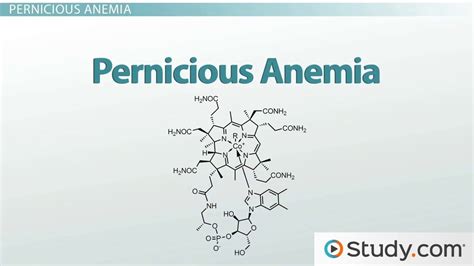 Anemia: Types and Causes - Lesson | Study.com