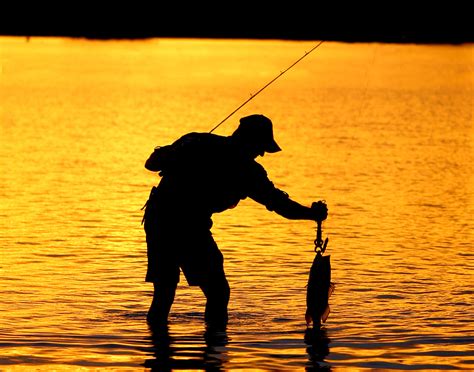 Oito dicas para sua próxima pescaria Revista Pesca Companhia