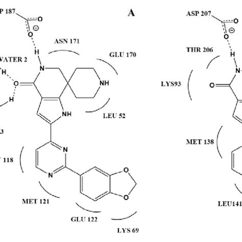 Two Dimensional Representation Of A Molecule B B Molecule P O