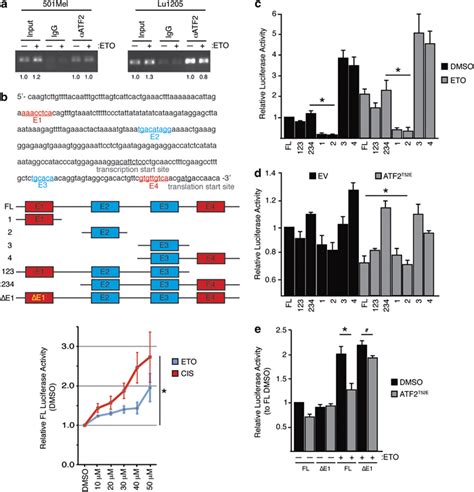 Pkc Phosphorylated Atf Binds To And Represses Transcription Of The