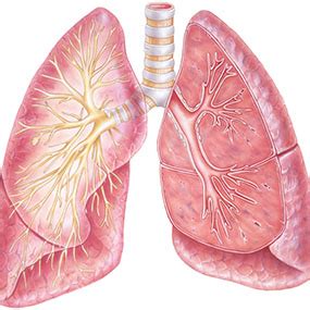 Cancer Symptoms: Small Cell Lung Cancer Symptoms