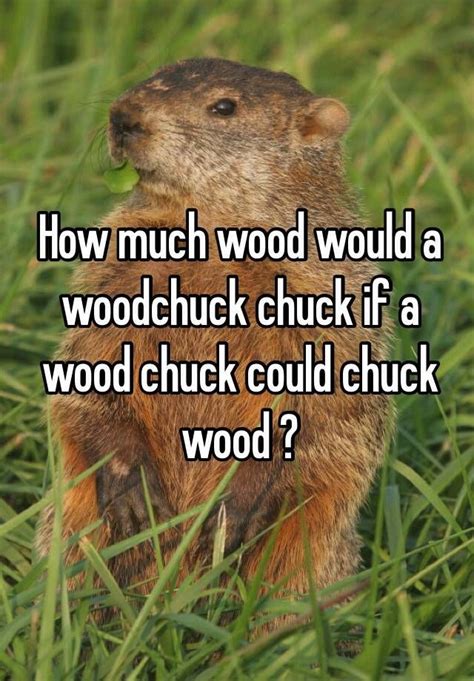 How much wood would a woodchuck chuck if a wood chuck could chuck wood ...