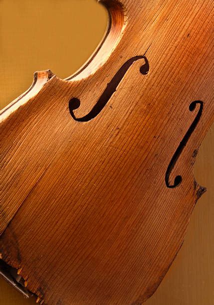 200+ Violin Museum Stock Photos, Pictures & Royalty-Free Images - iStock