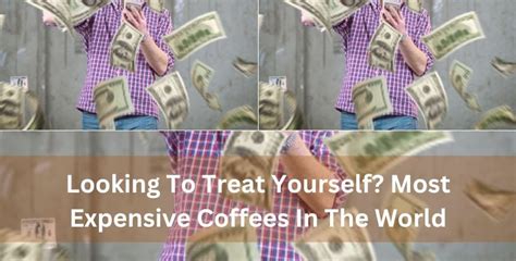 Looking To Treat Yourself Most Expensive Coffees In The World