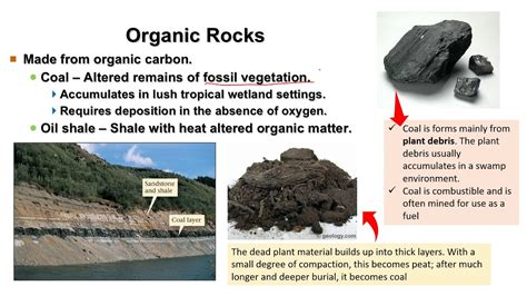 Organic Sedimentary Rocks Examples