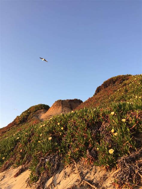 Half Moon Bay State Park Half Moon Bay Ca 94019 Hours Directions